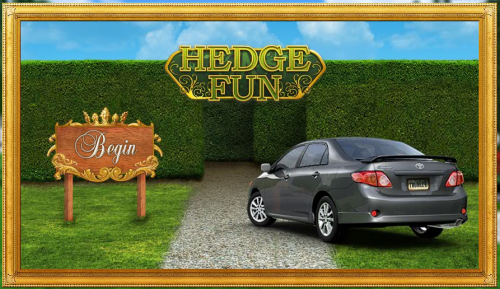 Corolla_hedge2